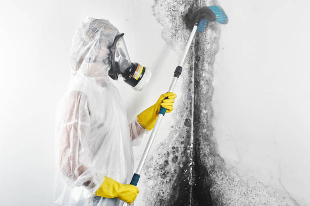Forensic Mold Investigation in Moose Wilson Road, WY