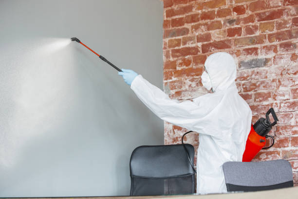 Best Residential Mold Inspection & Testing  in Moose Wilson Road, WY