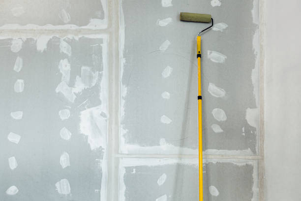 Best Environmental Consulting for Mold Prevention  in Moose Wilson Road, WY