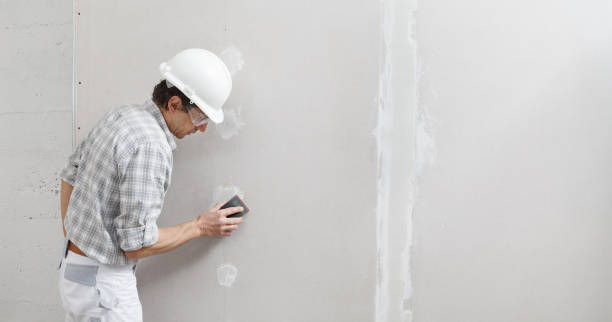 Best Mold Documentation for Insurance Claims  in Moose Wilson Road, WY