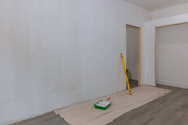 Reliable Moose Wilson Road, WY Mold Removal Solutions