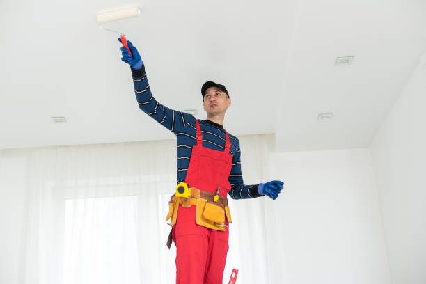 Best Attic Mold Removal  in Moose Wilson Road, WY