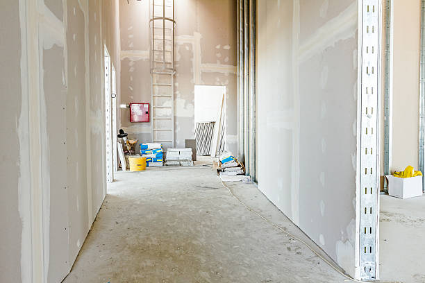Best Asbestos and Lead Testing During Mold Inspection  in Moose Wilson Road, WY